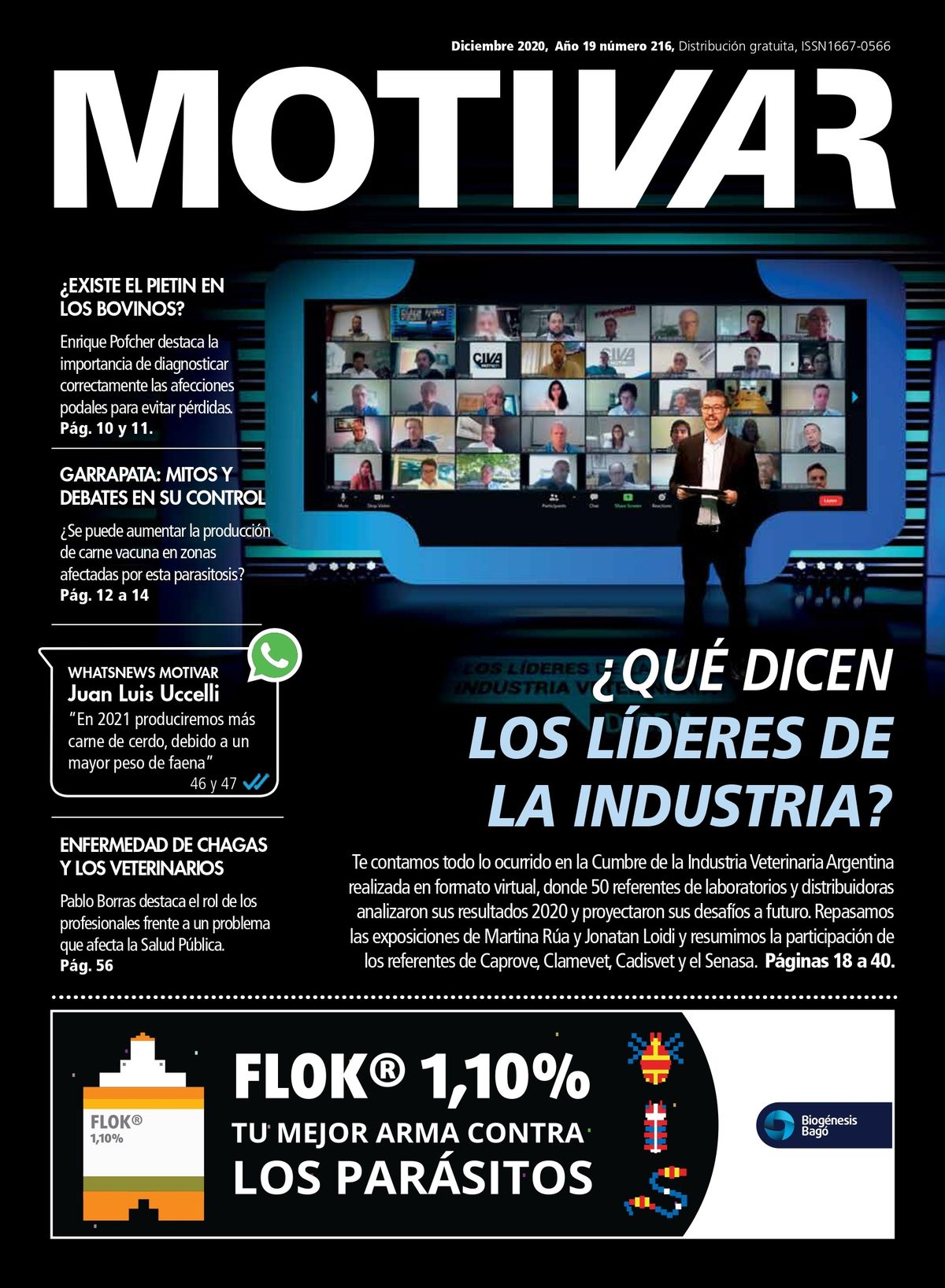 Edición Impresa, Edición N° 216 – Diciembre 2020