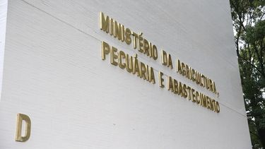 Brasil avanza en la decisión de ser un país libre de fiebre aftosa sin vacunación.
