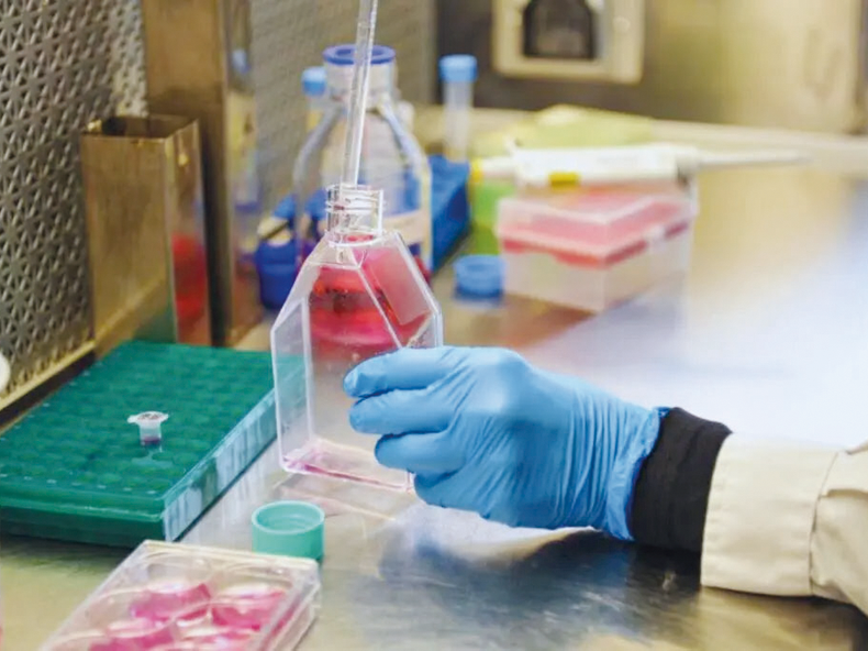 Los investigadores están entusiasmados con los resultados actuales contra la rabia paresiante.