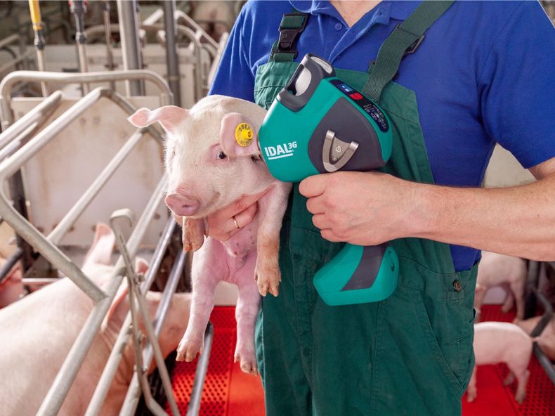 vacunar sin aguja.jpg