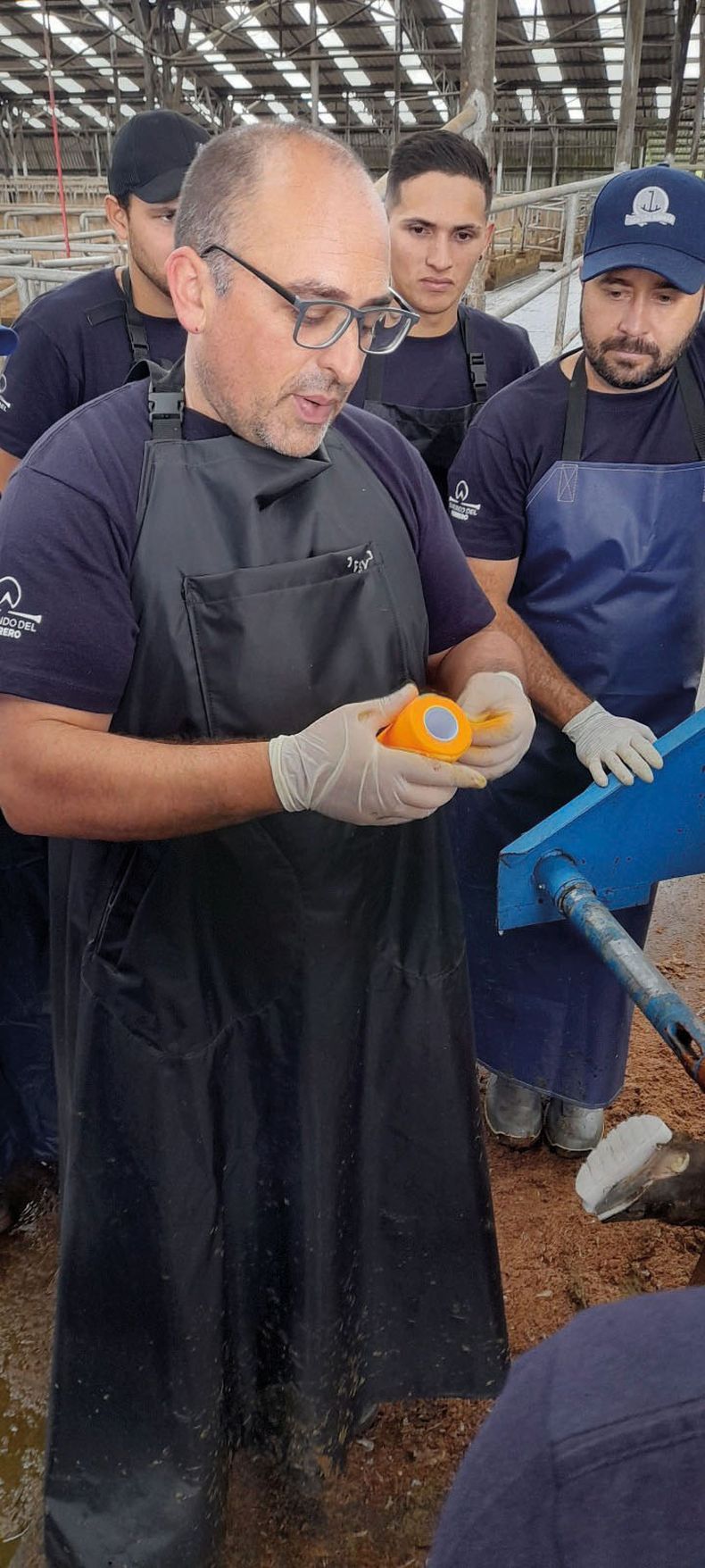 Enrique Pofcher, especialista en podología bovina y vicepresidente de APROCAL.