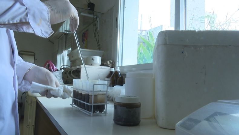 El curso dictado por el INTA cuenta con cupos limitados y está dirigido a profesionales dedicados a la materia.