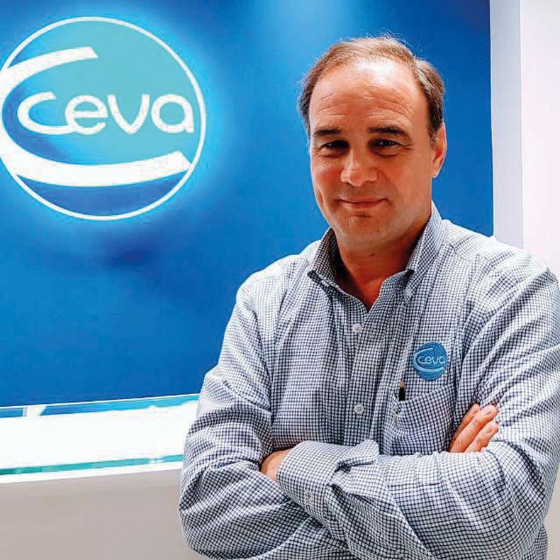 CEVA1.jpg