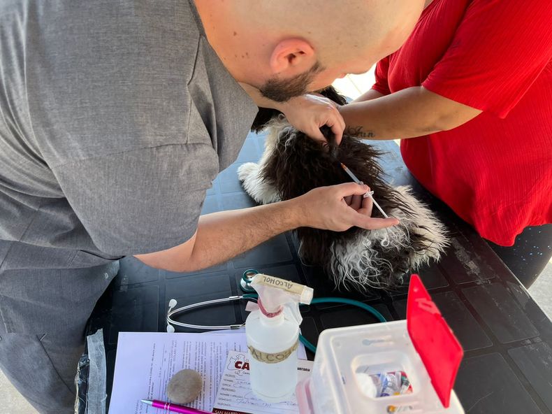 boehringer rabia santa fe.jpg