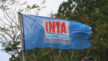 La recomposición del Consejo Directivo es clave  para recuperar la operatividad del INTA. 