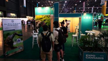 Motivar | expo cannabis 2024.jpg