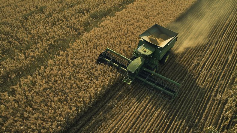 El gobierno de Estados Unidos, a través del USDA, autorizó la posibilidad de cultivar en su territorio, sin restricciones, el trigo&nbsp;transgénico argentino.