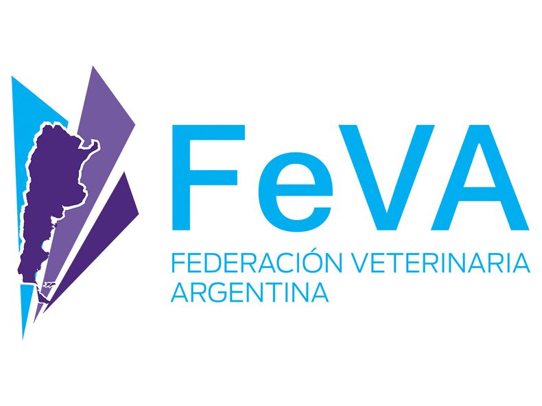 FEVA Logo.jpg