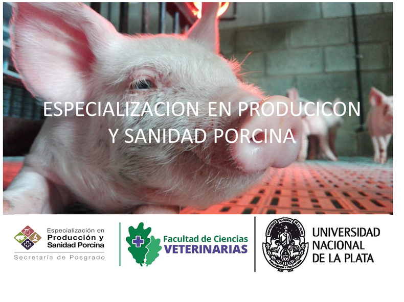 ESPECIALIZACION 2019.png