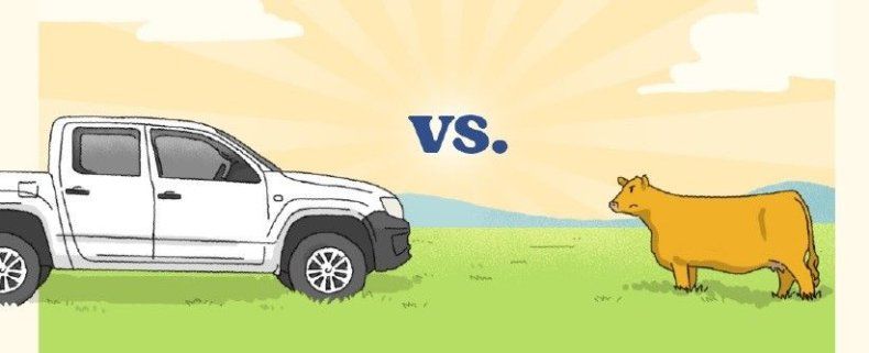 Desde el INTA EEA Bordenave analizaron el costode adquirir un vehículo 0 km para un establecimiento agropecuario.