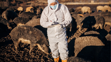 La bioseguridad no es sólo una medida preventiva, sino una inversión para un futuro sostenible.