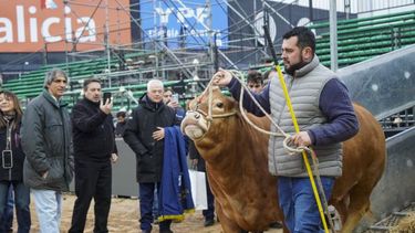 La diversidad de la ganadería argentina se exhibe en la Expo Rural, reflejando el dinamismo y la riqueza de su producción.