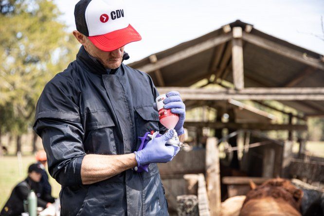 Es clave aplicar un plan sanitario inteligente.&nbsp;