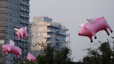 Avance de los cerdos en las exportaciones agroindustriales.