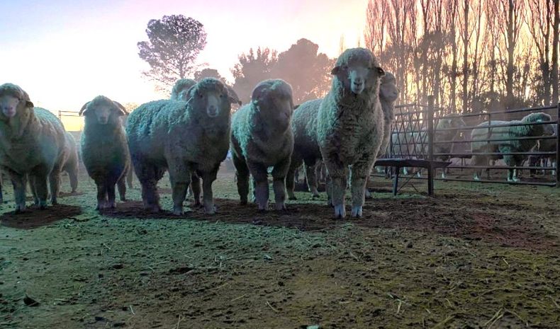 Clima. Se anticipa una salida de invierno con ciertas complicaciones.