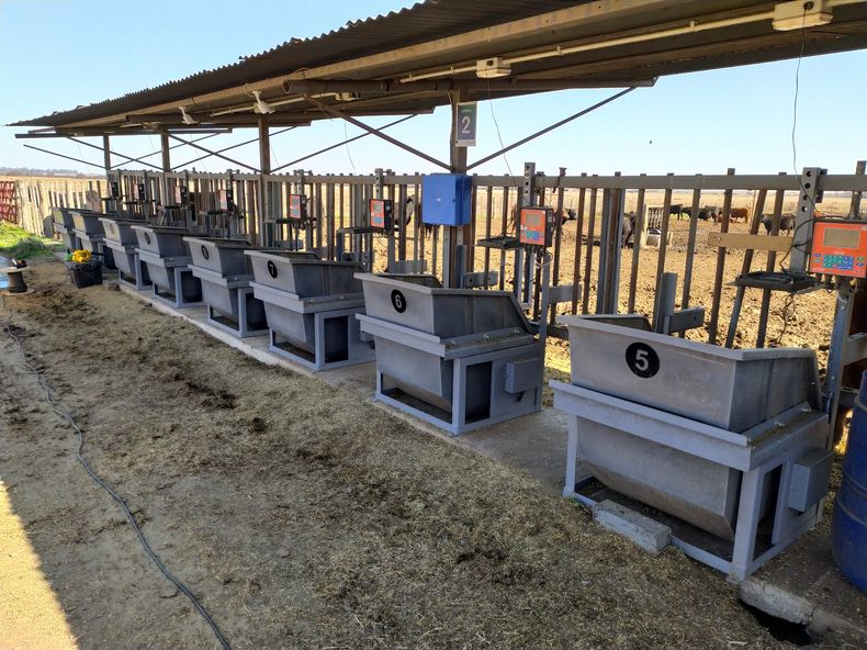 Innovación tecnológica al servicio de la producción ganadera.