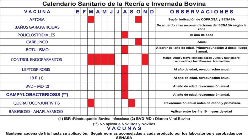 Cuadro Inta.jpg