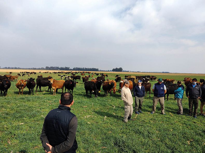 modelo regenerativo pastoril.jpg