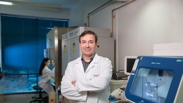 Influenza aviar. Para el Dr. Daniel Pérez, el riesgo nunca es cero, pero se puede minimizar.