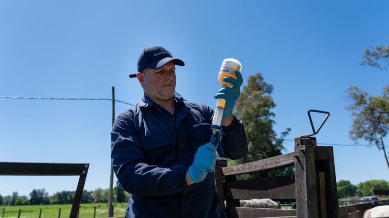 Clostrimiq PH fue diseñada por el Laboratorio Biochemiq como una vacuna de doble protección.