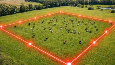 La innovación Agtech impulsa el manejo eficiente del pastoreo en bovinos, optimizando la gestión del ganado con soluciones tecnológicas avanzadas.