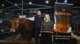 La genética Limousin, una herramienta probada para la producción eficiente de carne de calidad en Argentina.