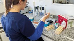 El diagnóstico veterinario proyecta una expansión sostenida. El diagnóstico veterinario proyecta una expansión sostenida.