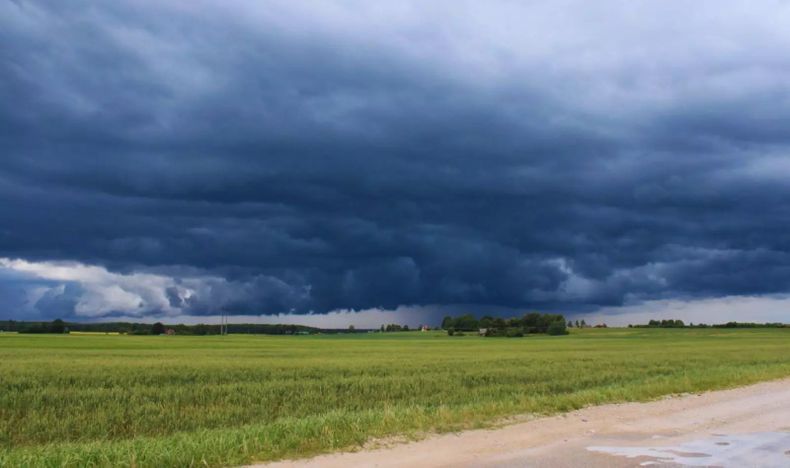El Niño exigirá un manejo más preciso de lotes, cuencas y hacienda.