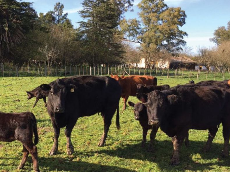 cuenca del salado inta.jpg