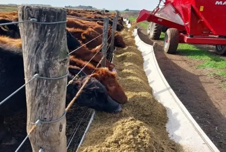 La buena confección de reservas forrajeras es clave para aumentar la producción.&nbsp;