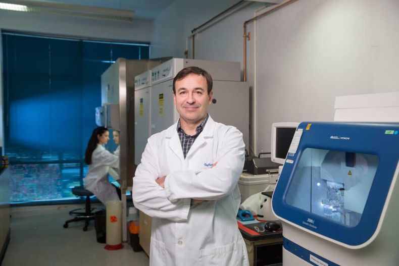 Influenza aviar. Para el Dr. Daniel Pérez, el riesgo nunca es cero, pero se puede minimizar.