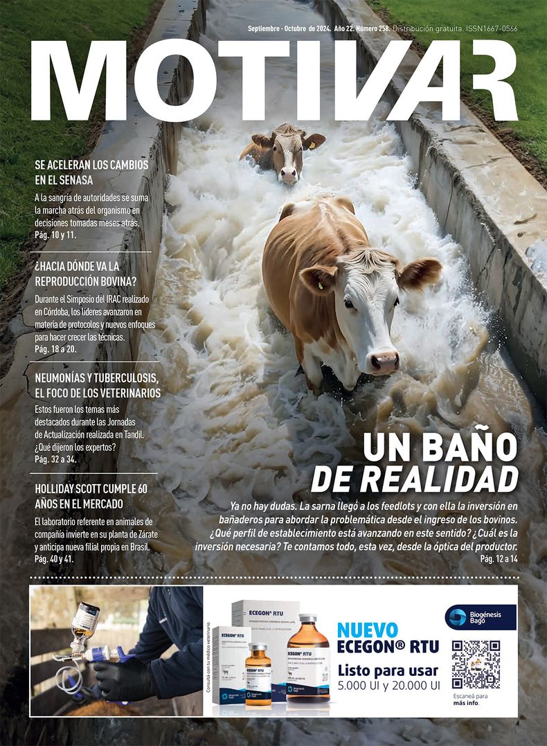 Portada 258.jpg