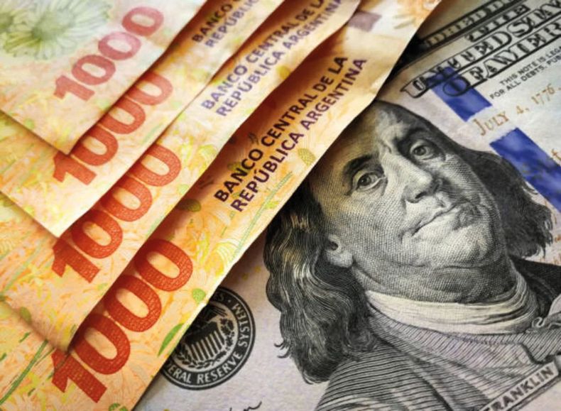 Analizamos el impacto del dólar en la cadena de la industria veterinaria.