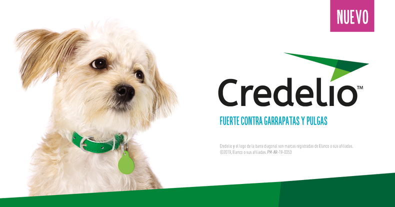 2_Banner nota patrocinada_ 1200 x 629 px_A.png