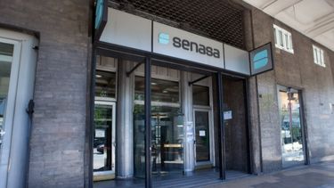 El cierre de las oficinas del Senasa se dio en el marco de un plan de simplificación y desregulación del Servicio.