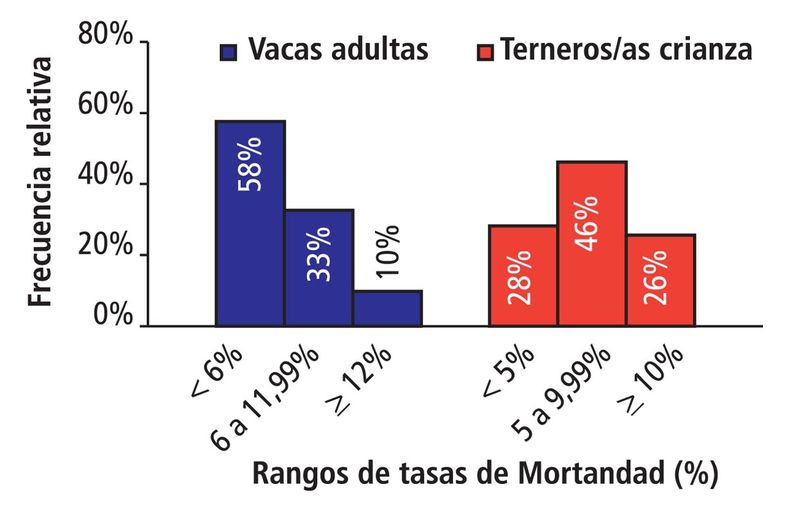 Grafico tambo.jpg