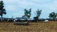Gestión del agua en el tambo, clave para mejorar la producción.