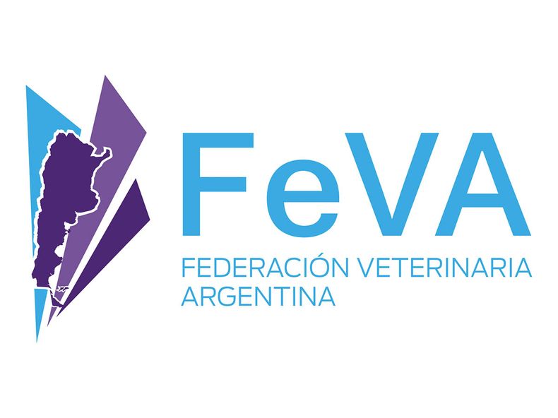 FEVA logo.jpg