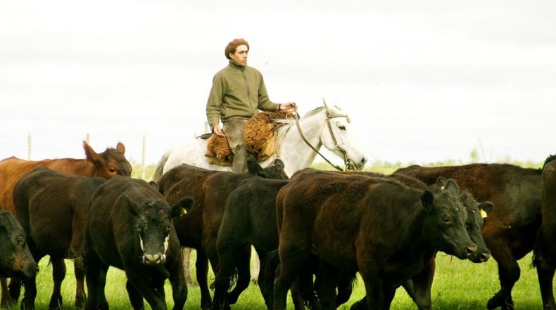 La prevención de la rabia paresiante disminuye la posibilidad de pérdidas productivas.