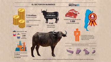 Motivar | Infografia Bufalos.jpg