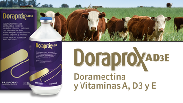 Tratamiento para la parasitosis bovina.