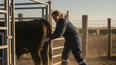 Manejo de rodeos: diagnóstico de preñez para optimizar la producción.