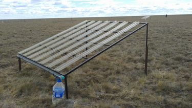 Investigación del INTA revela cómo la sequía afecta la productividad de los pastizales.