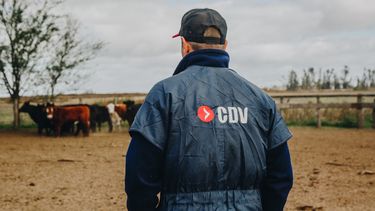 CDV será parte de la 45° Exposición Nacional Angus de Primavera y la 24° Exposición del Ternero Angus, en el marco de la Semana Angus de Primavera.