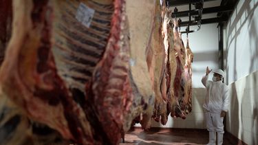 La producción de carne bovina, un pilar del sector agropecuario, transita un período de desafíos y recuperación.
