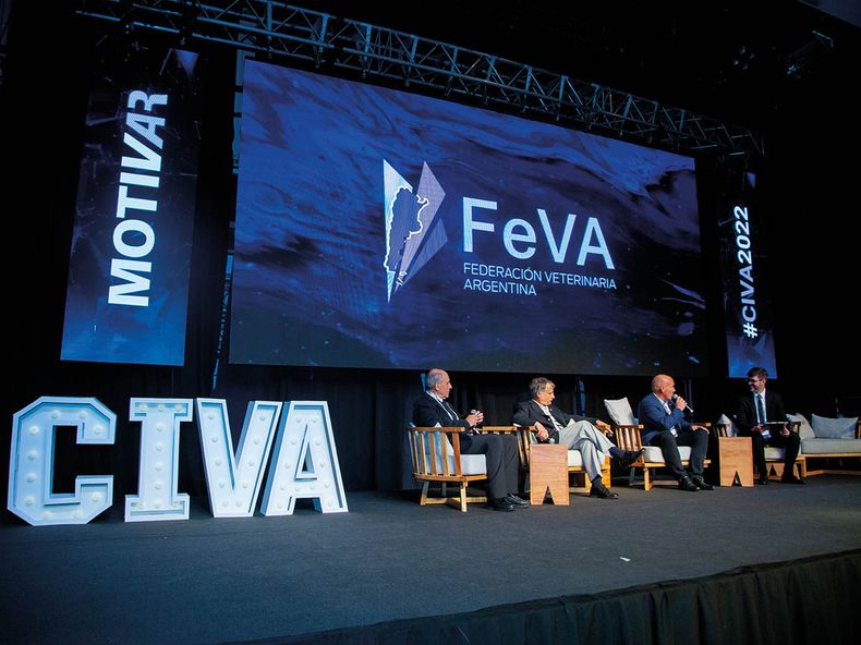 FeVA Apertura.jpg