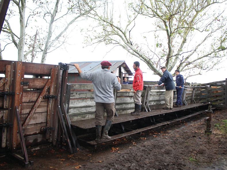 Planes sanitarios.jpg