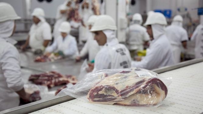 El crecimiento récord en las exportaciones de carne vacuna argentina impulsa el valor y volumen del sector agropecuario.