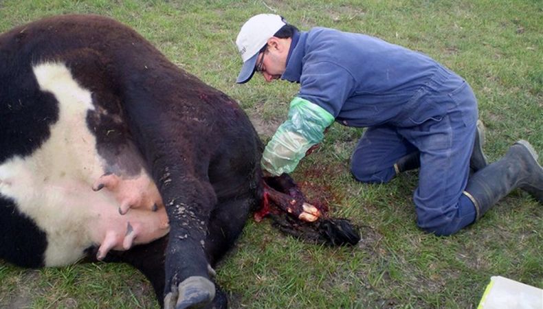 WhatsApp Image 2020 04 13 at 18.40.01 1.jpeg