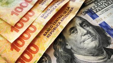 Analizamos el impacto del dólar en la cadena de la industria veterinaria.